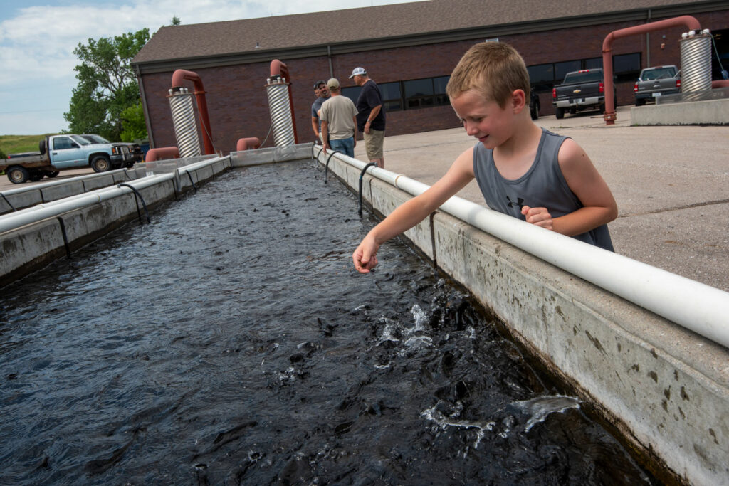 Fish hatchery