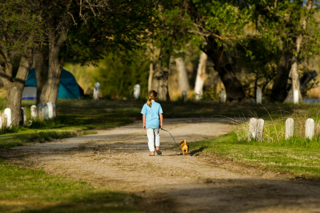 A girl walks her dog on a road