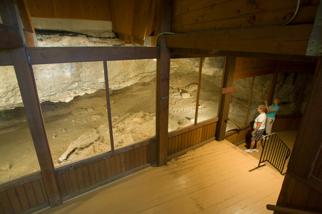 Two women look inside a cave, closed off by glass to protect it.