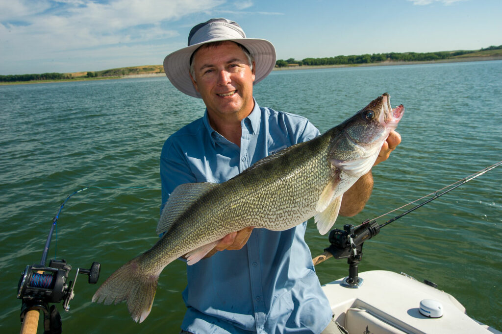 large walleye fish