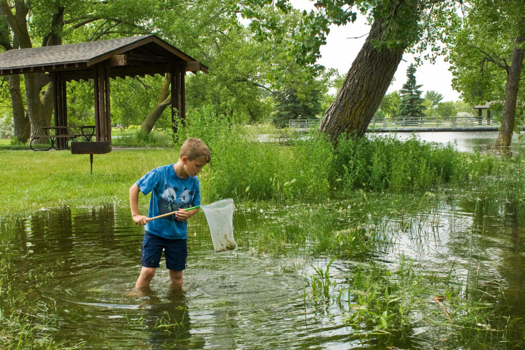 a young boy wades in the lake with a dipnet