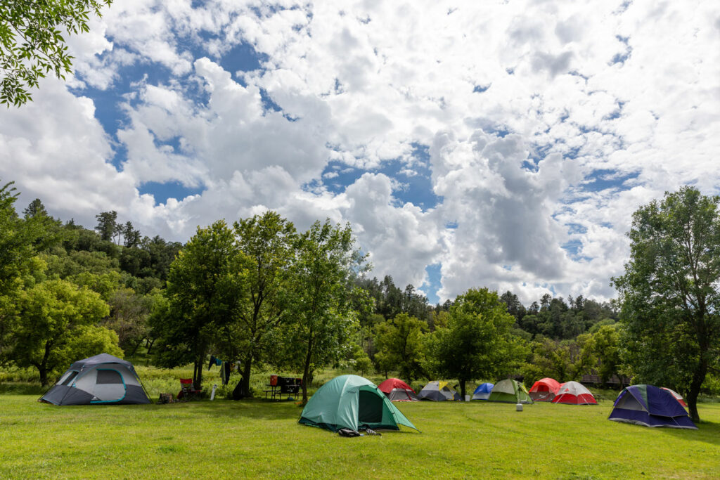 A row of tents against a tree-lined backdrop