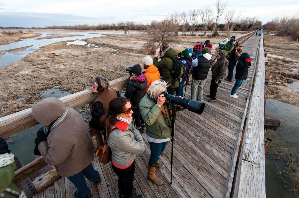 People use long binoculars to view cranes