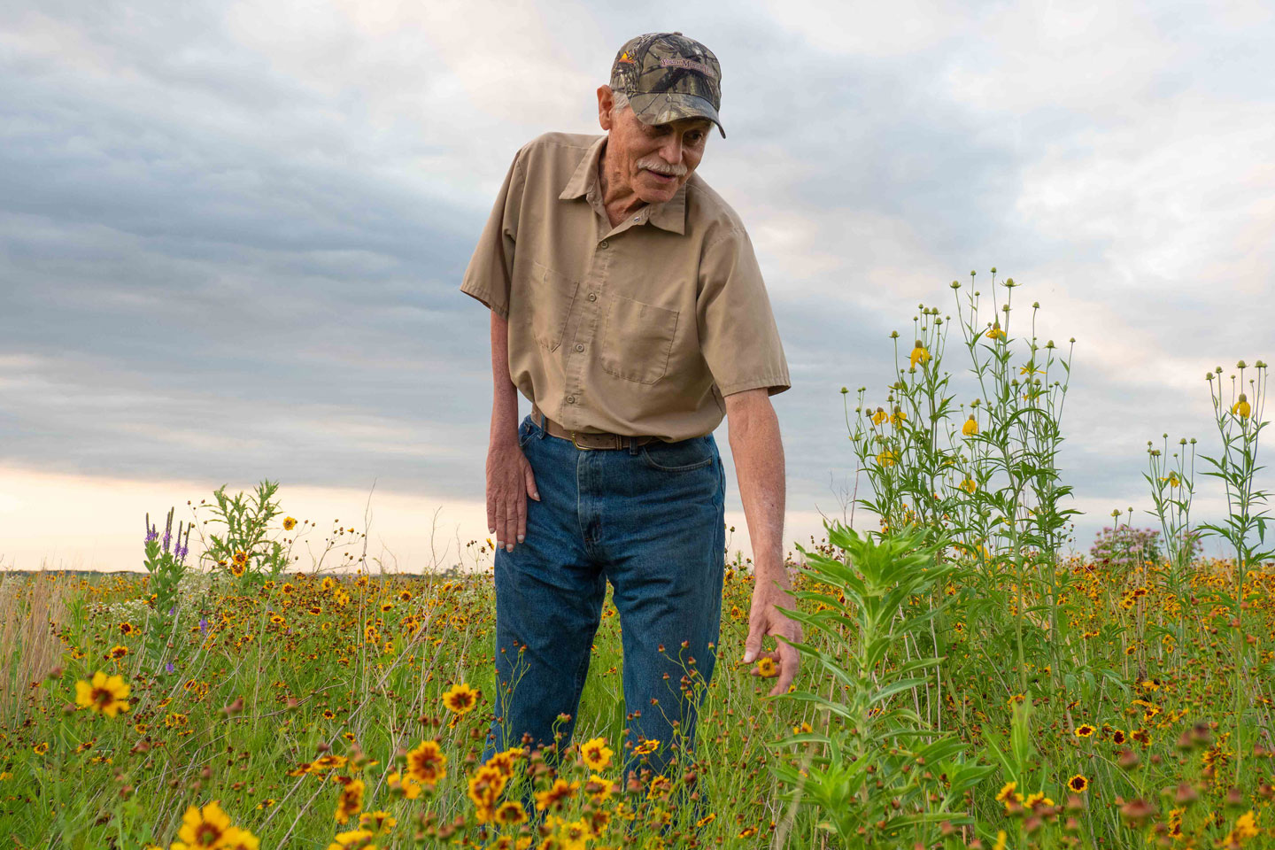 Conservation Reserve Program