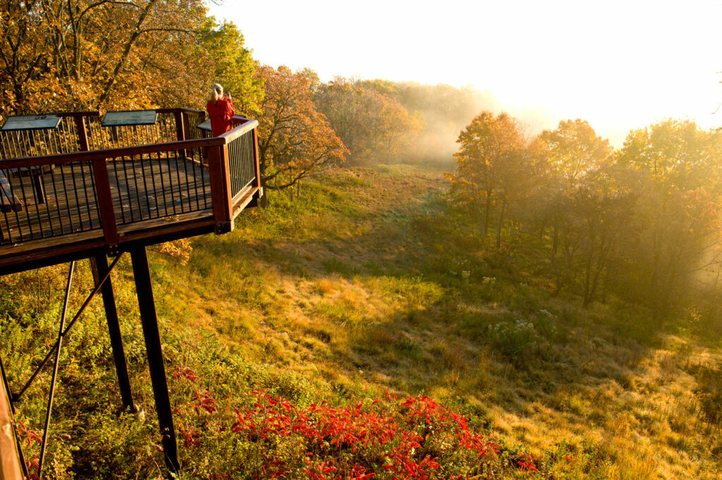 A woman stands on a scenic overlook of fall trees