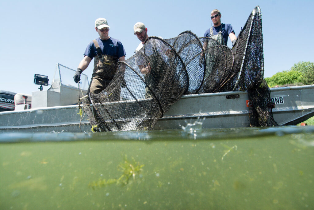 Three men pull a framing net into a boat.