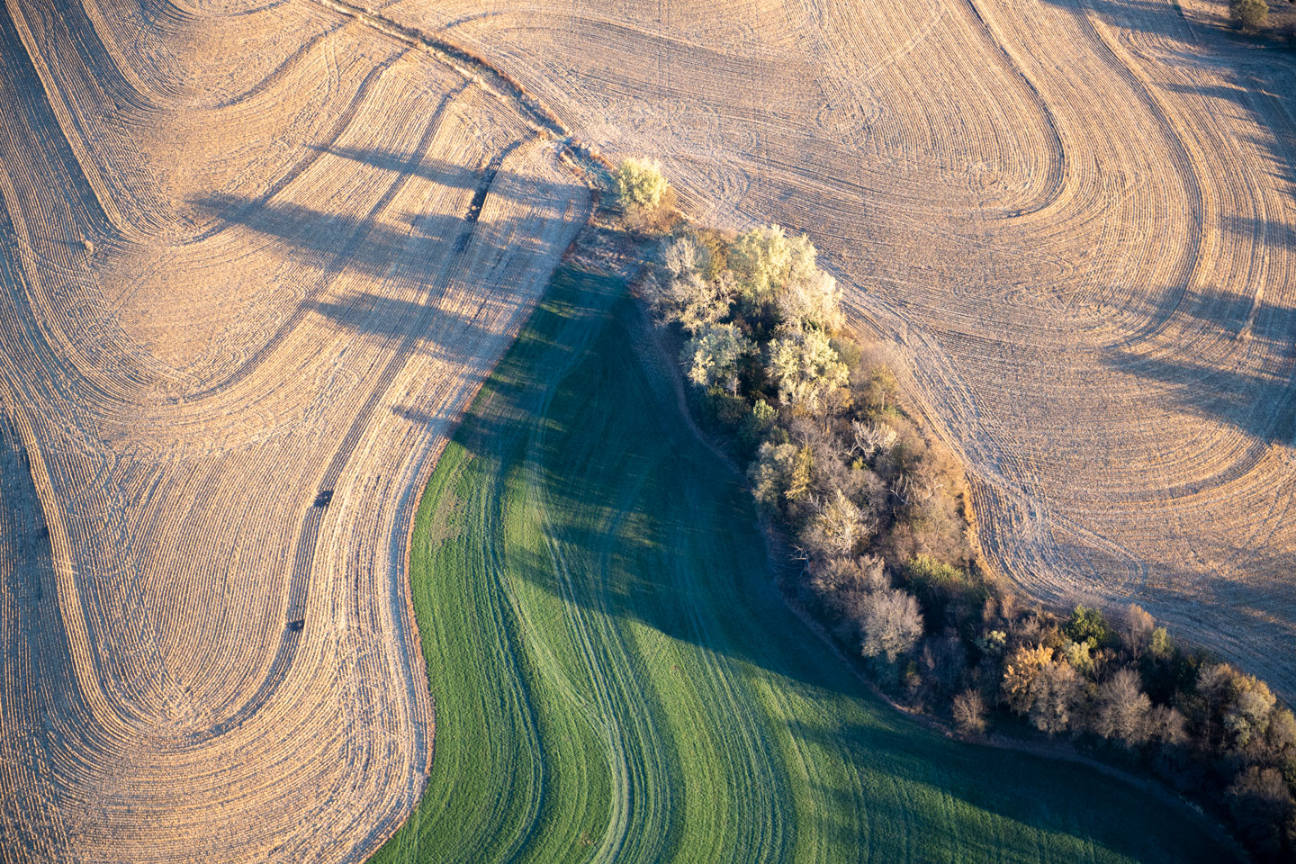 Habitat Loss, Degradation and Fragmentation