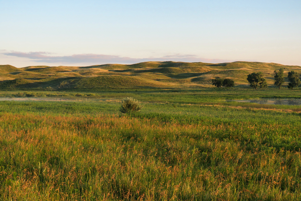 Rolling grassy hills