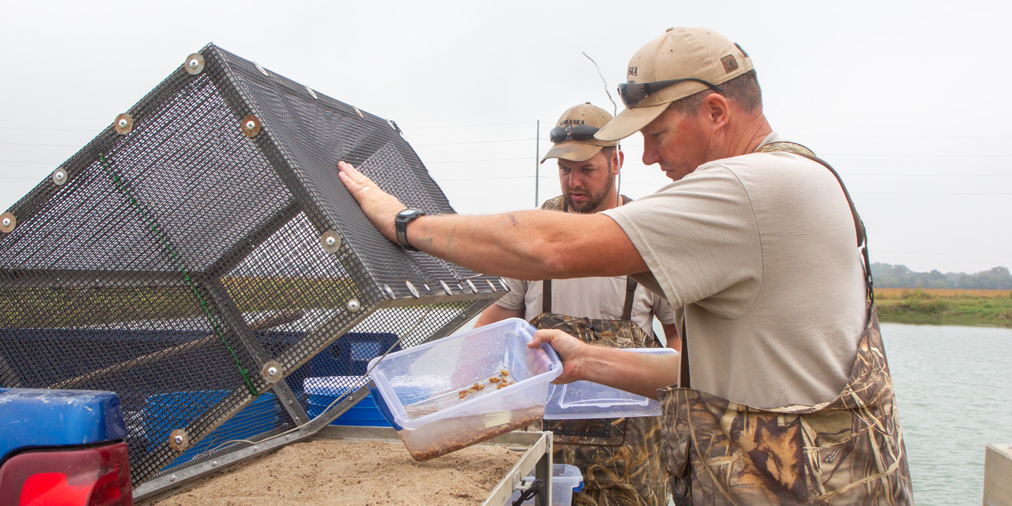 Fisheries Management