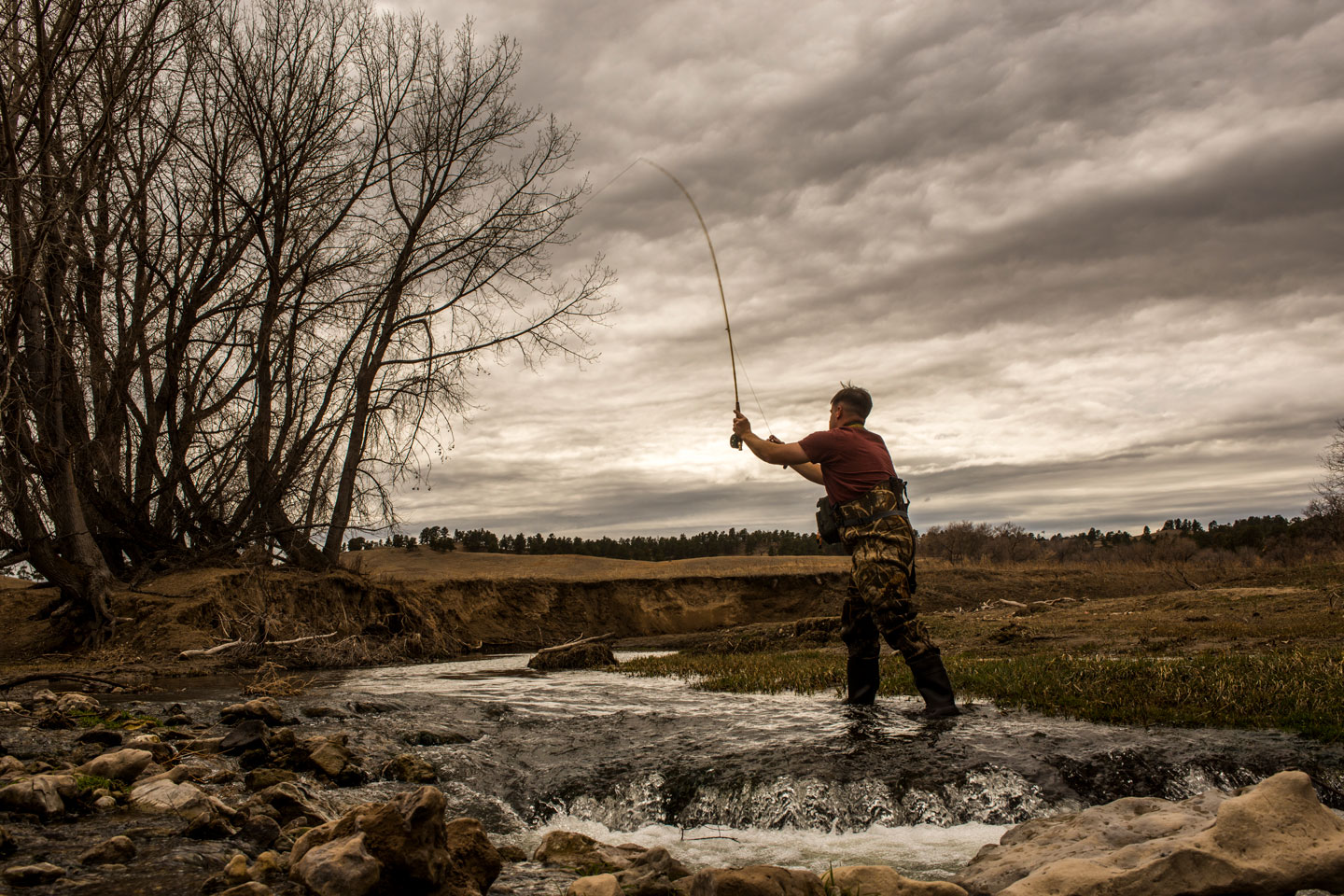 Fisheries Programs