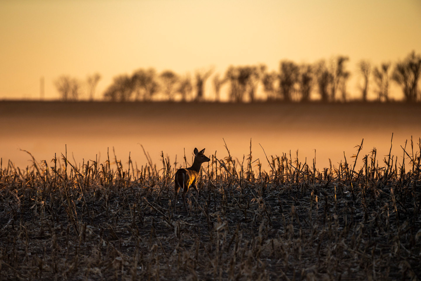 Landowner Hunting Programs