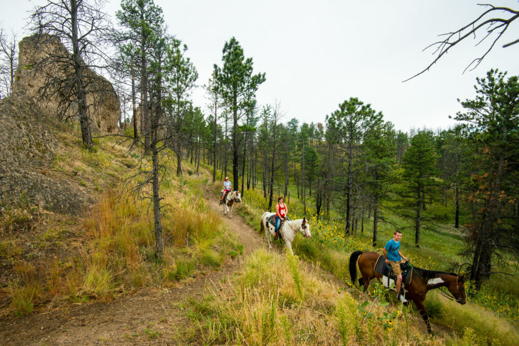 Three visitors enjoy a trail ride on horseback among pine trees at Chadron State Park.