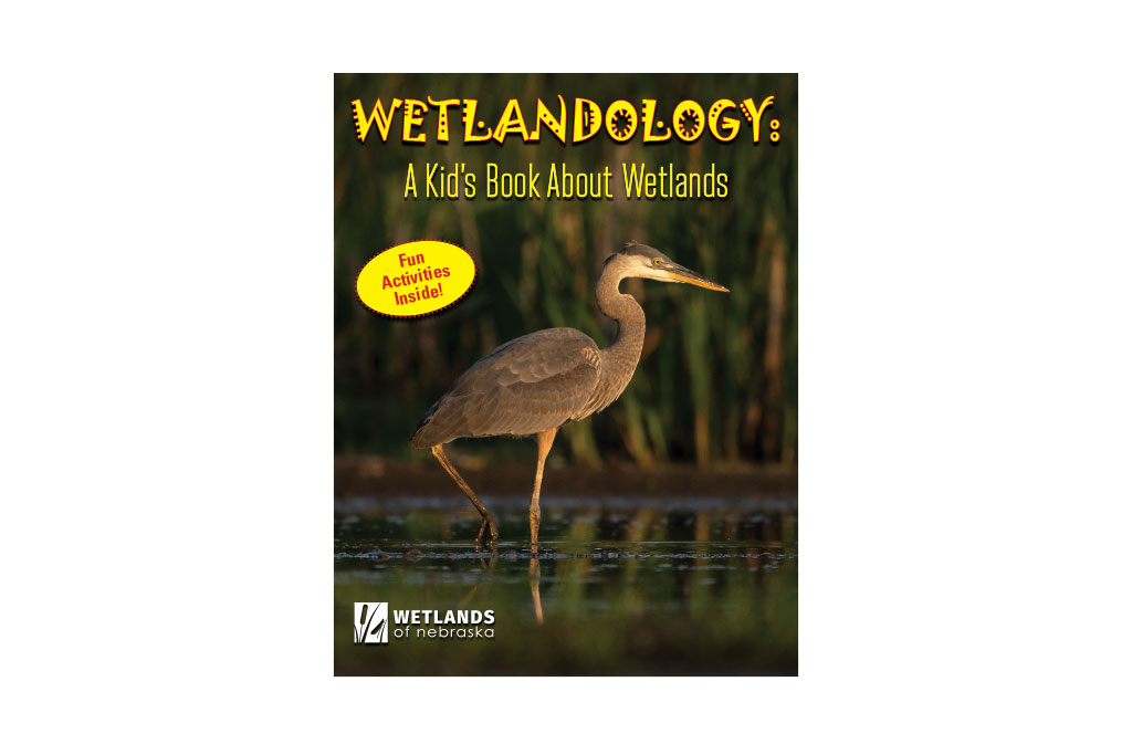 Wetlandology: A Kid's Book About Wetlands